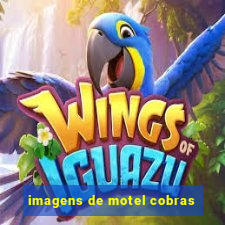 imagens de motel cobras